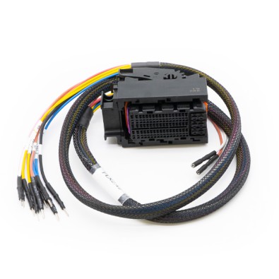 Cable de conexión: EDC17C74 (Ver1 - Ver2) FLX2.49