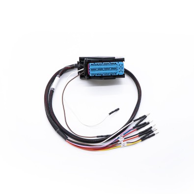 Cable de la ECU MEDC17 FLX2.56