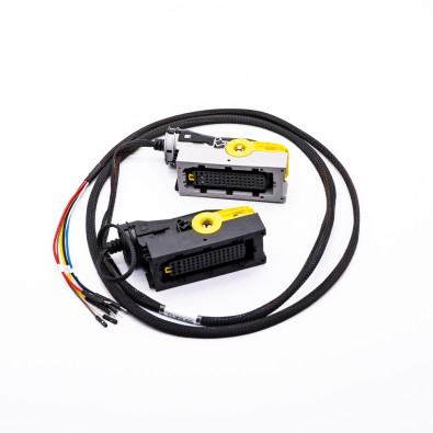 Cable de conexión de la ECU TRW_EMS2.x FLX2.59