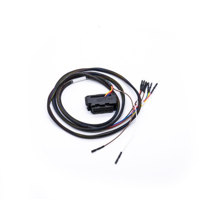 Cable de la ECU MEVD17.2.G FLX2.63