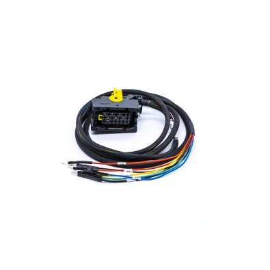 Cable de la ECU MCM2.1 FLX2.64